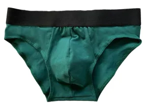 Organic Cotton Jersey Brief in Emerald